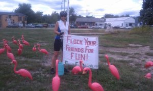 Auburn Girl Scouts Flocking